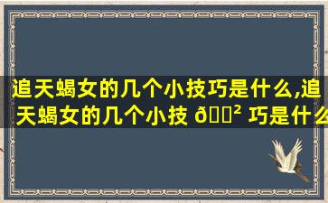 追天蝎女的几个小技巧是什么,追天蝎女的几个小技 🌲 巧是什么样的